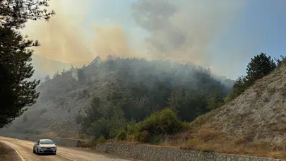 Karabük’te orman yangınına müdahale ediliyor