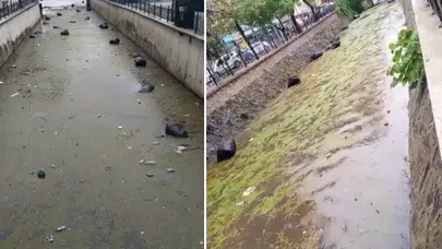 Gemlik Körfezi'nde utanç görüntüsü! Atıklar denize karıştı