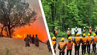 21 Ağustos Dünya Ormancılık Günü: Türkiye'nin orman varlığı ve orman işçileri