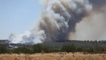 Çanakkale Dardanos'ta orman yangını!