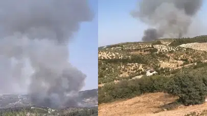 Hatay'da orman yangını!