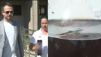 Ankara'da mide bulandıran olay: Marketten aldığı koladan ölü arı çıktı!