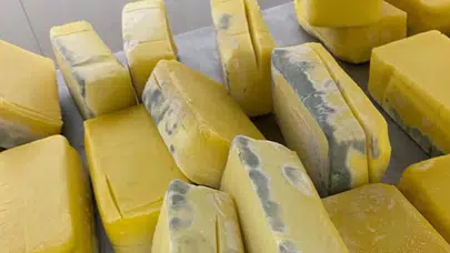 1.5 ton küflü peynir vatandaşa satılacaktı!