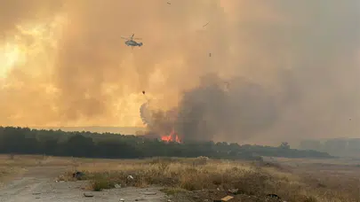 Çanakkale'deki orman yangınında 4 kişi gözaltına alındı