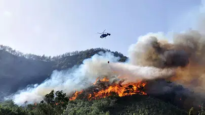Antalya’da 2025’te 118 orman yangını çıktı: 540 hektar alan kül oldu