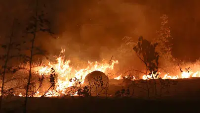 Kuzey Makedonya’da son 24 saatte 23 orman yangını çıktı