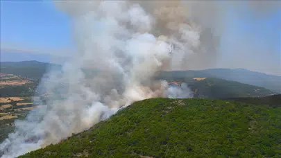 Bursa'da orman yangını kontrol altına alındı