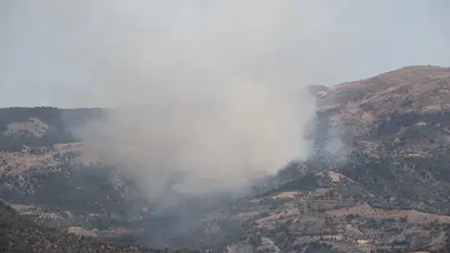 Çorum'da orman yangını!