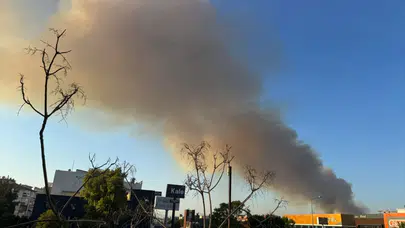 İzmir'de ormanlık alanda korkutan yangın