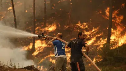 İstanbul’da 10 bin kişi orman gönüllüsü oldu!