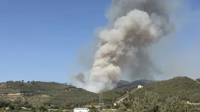 Osmaniye'de orman yangını!