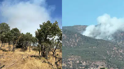 Denizli'de söndürülen orman yangını yeniden başladı!