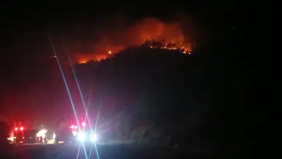 Malatya'da orman yangını