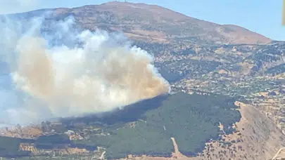 Kahramanmaraş'ta orman yangını!