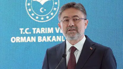Bakan Yumaklı duyurdu: Çanakkale Gelibolu'daki yangın kontrol altına alındı