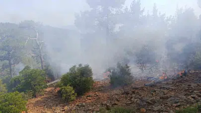 Denizli'de orman yangını