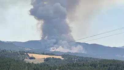 Bolu'da orman yangını! Müdahale havadan ve karadan sürüyor
