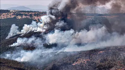 Çanakkale’de orman yangını ikinci gününde devam ediyor