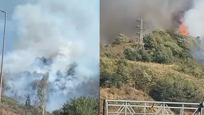 Osmaniye Bahçe’de orman yangını!