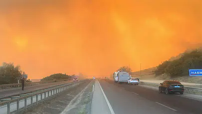 Bursa Yenişehir’de orman yangını