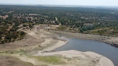 Edirne'de kuraklık alarmı: Gölet kurudu, tarlalar yandı!