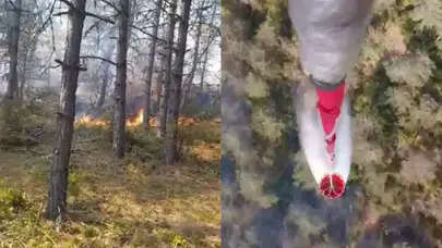 Sinop'ta orman yangını: Köklen köyü tahliye edildi