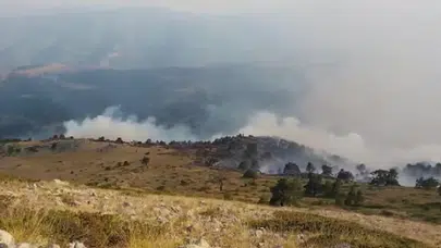 Amasya’da çıkan orman yangını sonucu 35 hektar alan zarar gördü!