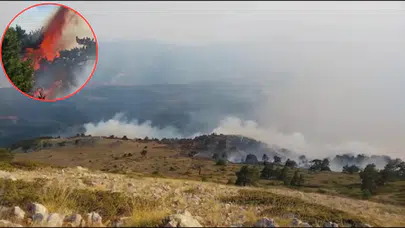 Amasya'da orman yangını