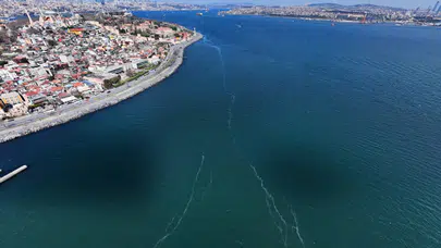 Marmara Denizi'nde poyraz nedenli aksama: İşte iptal edilen seferler...