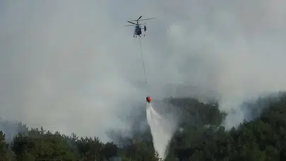Bolu'daki orman yangını kısmen kontrol altında!