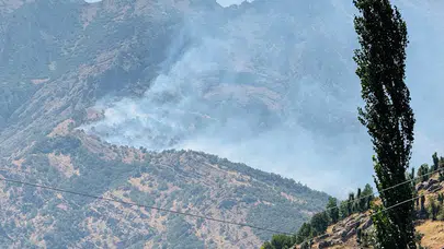 Şırnak'ta orman yangını! Müdahale sürüyor
