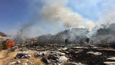 Bingöl'de orman yangını!
