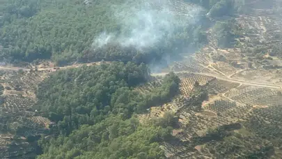 Muğla'da ormanlık alanda yangın