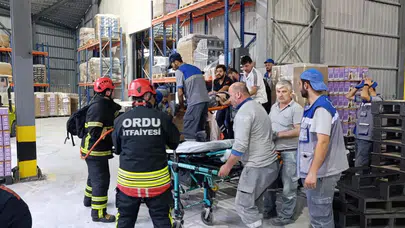 Ordu'da palet makinesine sıkışan 1 işçi yaralandı!