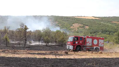 Tekirdağ'da anız yangını ormana sıçradı: Söndürme çalışmaları devam ediyor