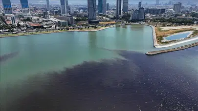 İzmir Körfezi'nde balık ölümleri yeniden başladı