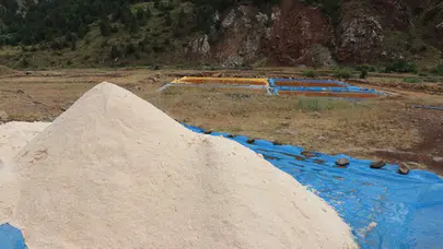 Sivas'ta çıkan 'altın tuz' dünya şeflerinin tercihi oldu