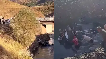 Bingöl'de otomobil Peri Çayı'na düştü: 2 yaralı