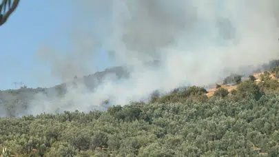 Bursa İznik'te orman yangını