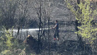 Adapazarı’nda otluk alanda yangın: İtfaiye ve vatandaşlar müdahale etti