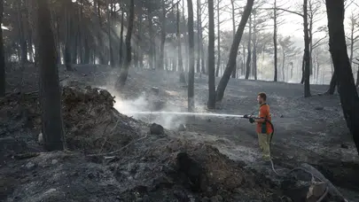 Çanakkale'de büyük oranda kontrol altına alınan yangında son durum!