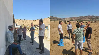 Aydın'da şap hastalığıyla mücadele: 509 bin büyükbaş hayvan aşılandı