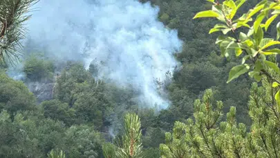Bolu’da orman yangını alarmı: Söndürme çalışmaları hızla sürüyor