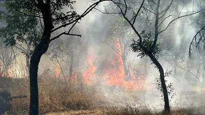 Çorlu'da panik anları: Ormanlık alanda korkutan yangın!