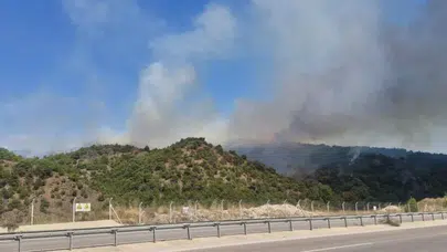 Tokat'ta orman yangını!