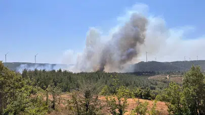 Çanakkale'de orman yangını çıktı!