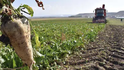 Kayseri Şeker, çiftçiye 3,6 milyar liralık faizsiz avans ödedi