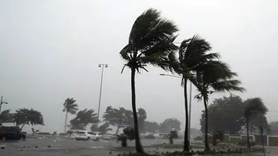 New York'ta fırtına felaketi: Acil durum ilan edildi