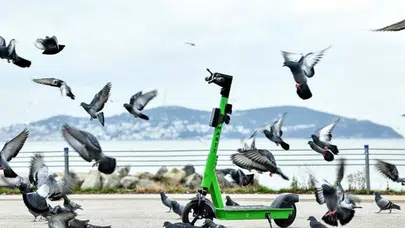 İBB UKOME’den Martı Tag ve Zuppin’e lisans engeli!