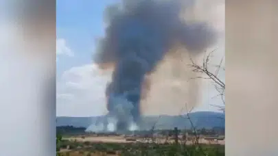 Bursa'da ormanlık alanda yangın